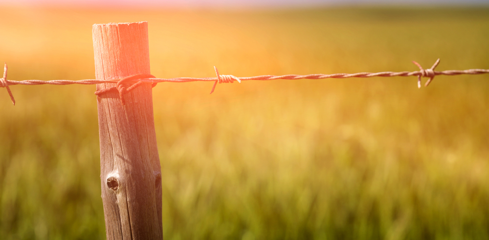 barb wire fence contractors